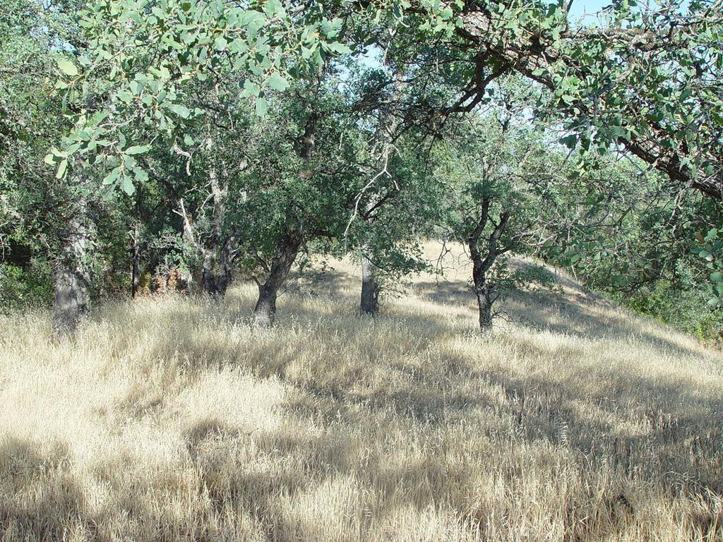 Picture 18