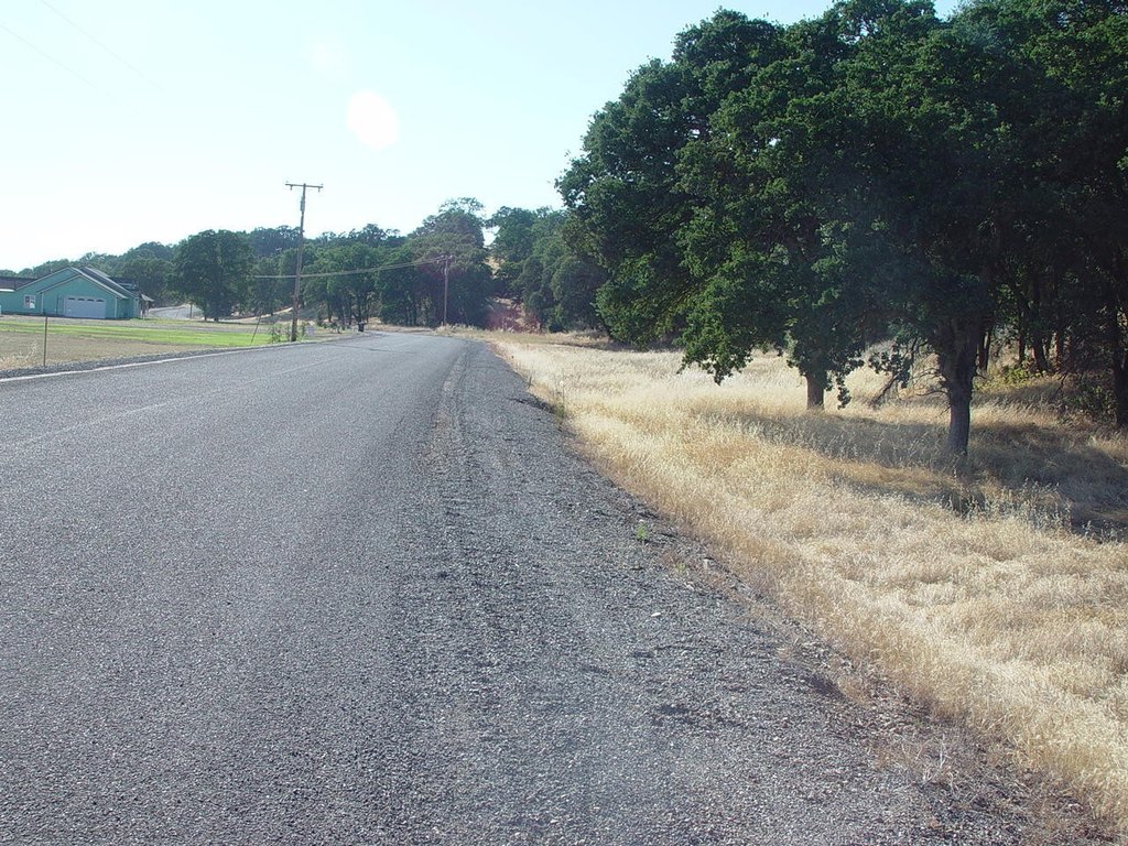 Picture 29