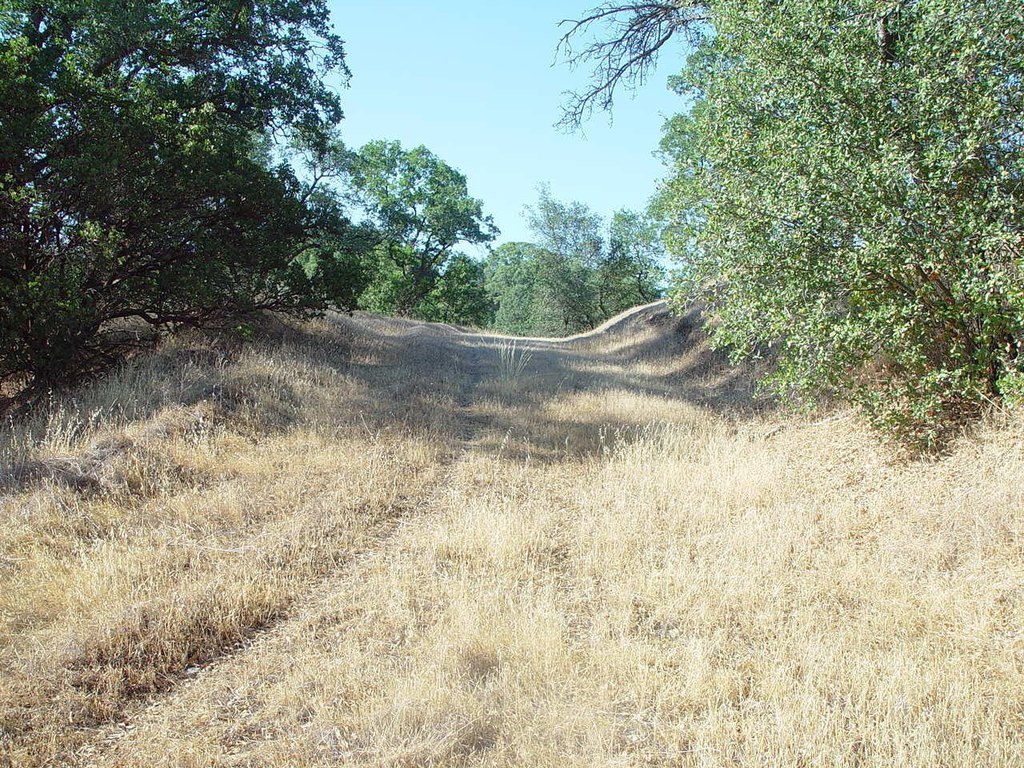 Picture 22