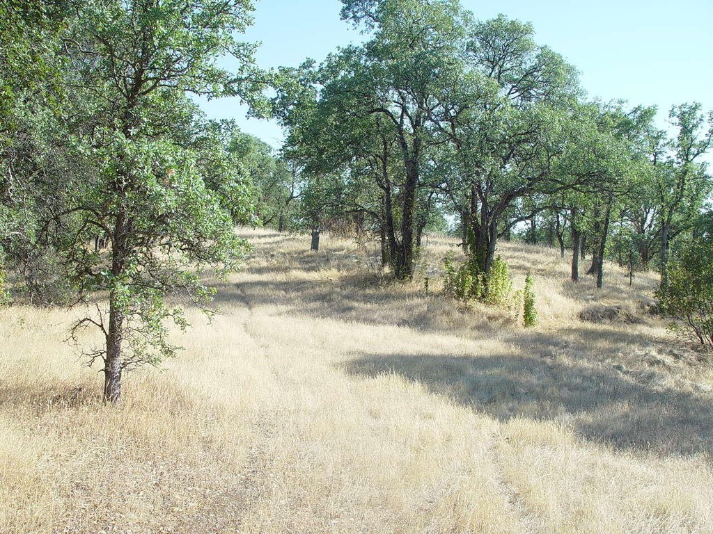 Picture 12