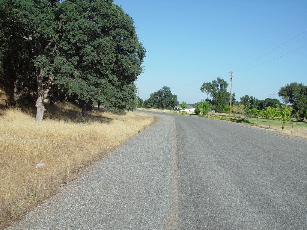 Picture 27