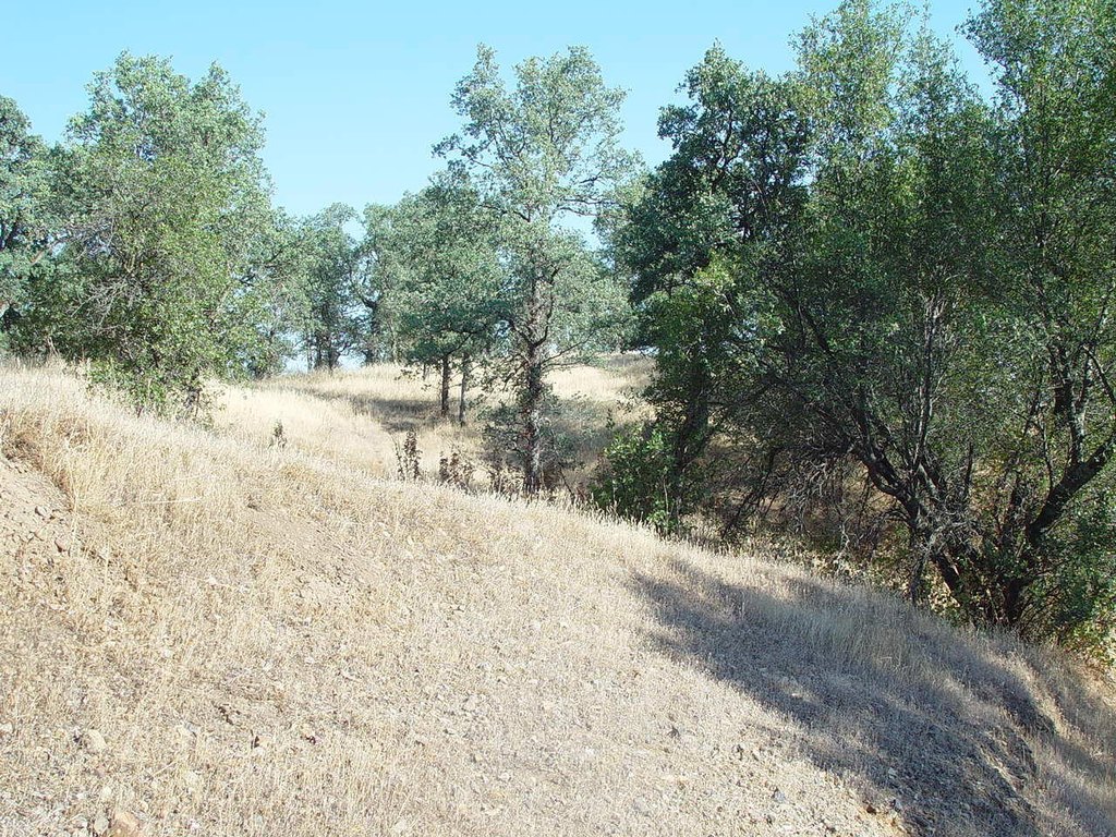 Picture 8