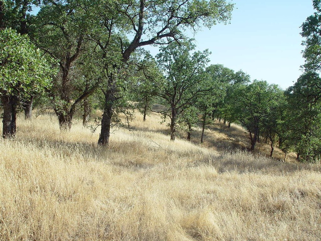 Picture 15