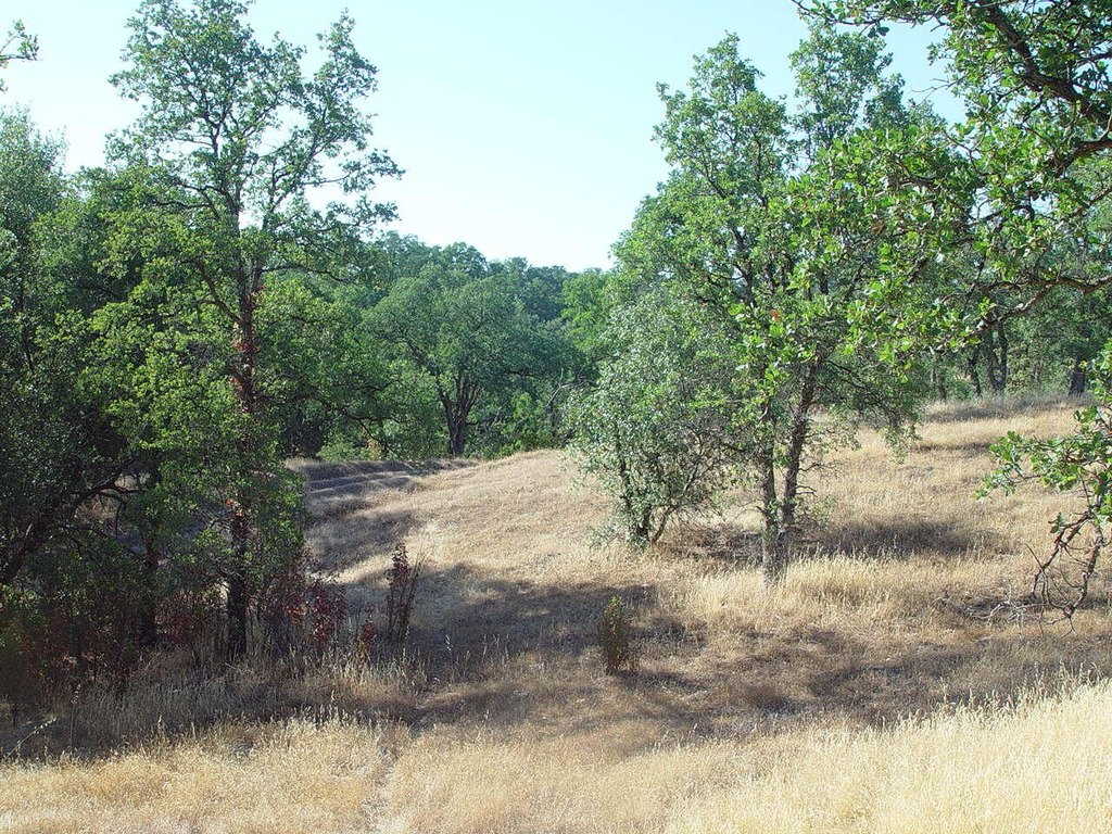 Picture 20