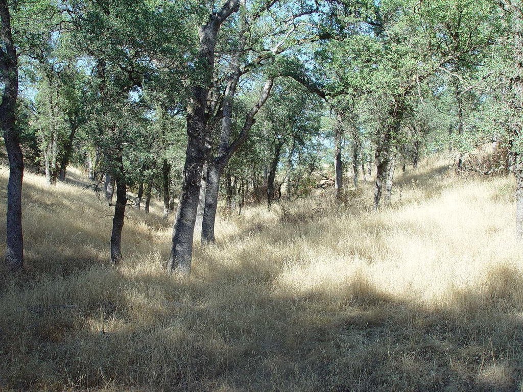 Picture 3