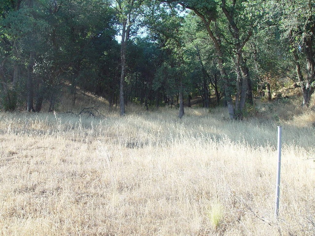 Picture 30