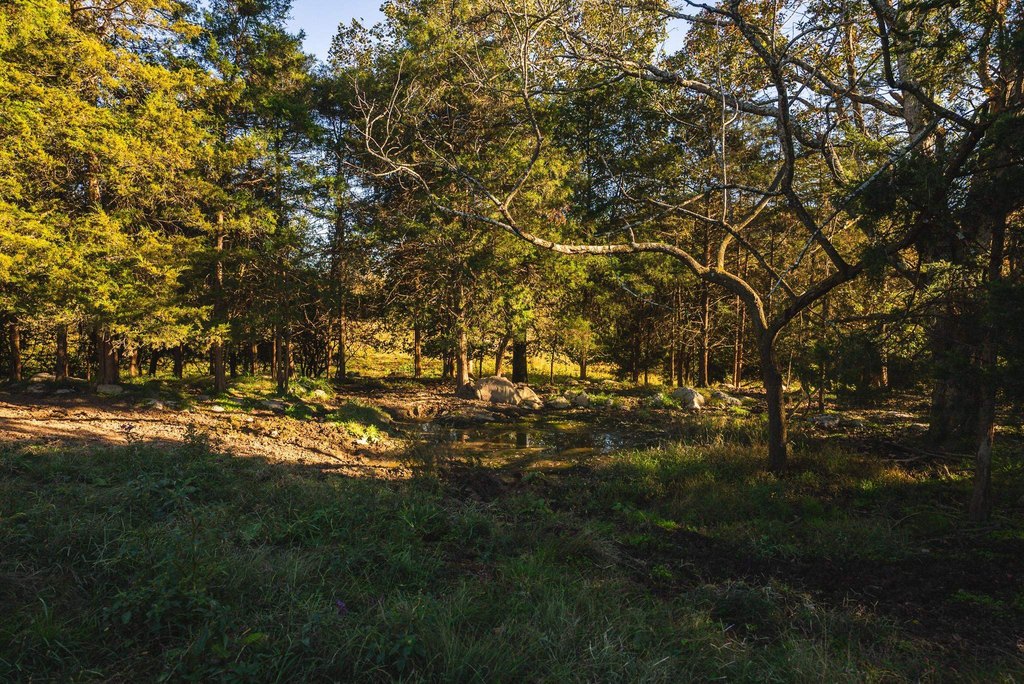 Picture 14