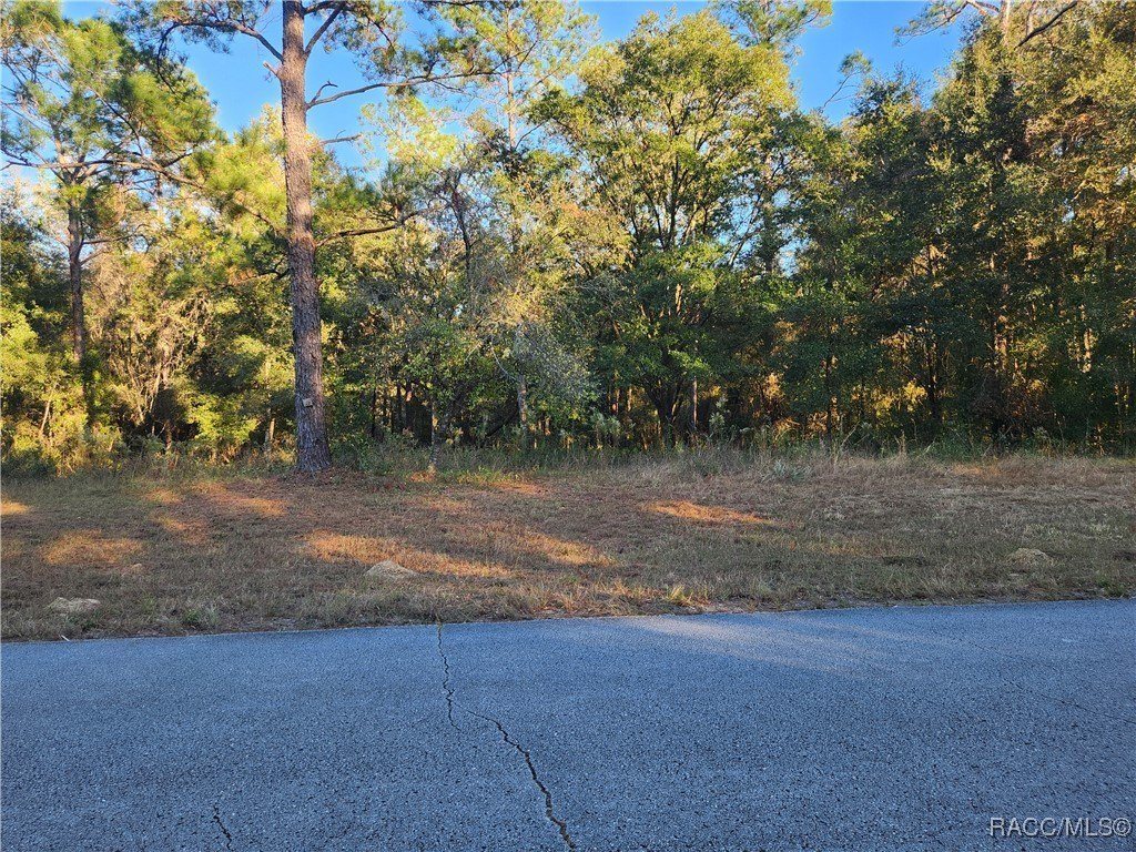 Citrus Springs Vacant Land Opportunity