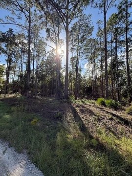LAND - GEORGETOWN, FL
