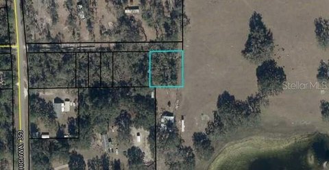 Naturally Wooded Dead-End Buildable Lot