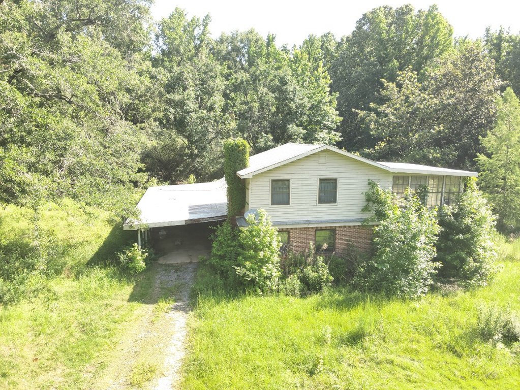 Picture 9