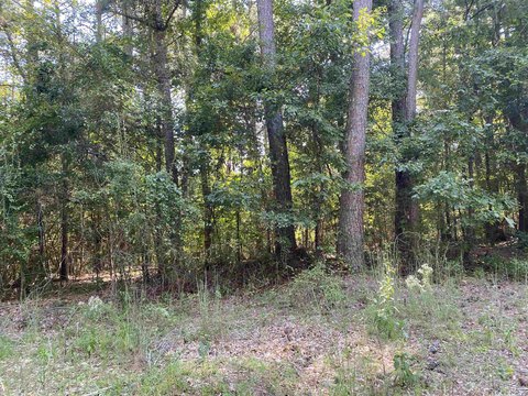 Residential Land in Conyers, GA