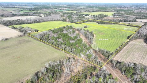 Land, Cottondale, FL