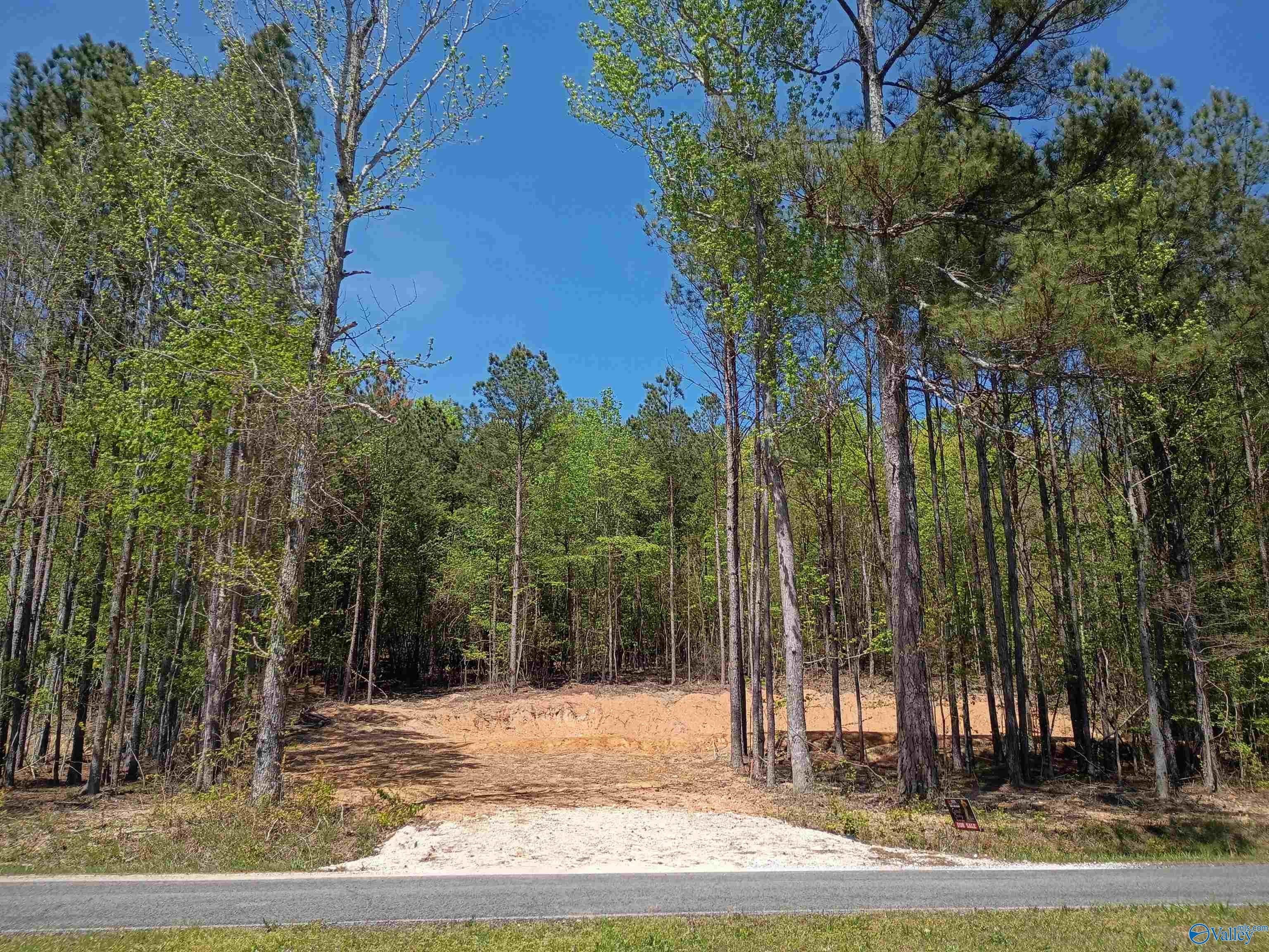 Wooded Lot with Lake Views