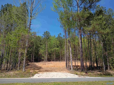 Wooded Lot with Lake Views