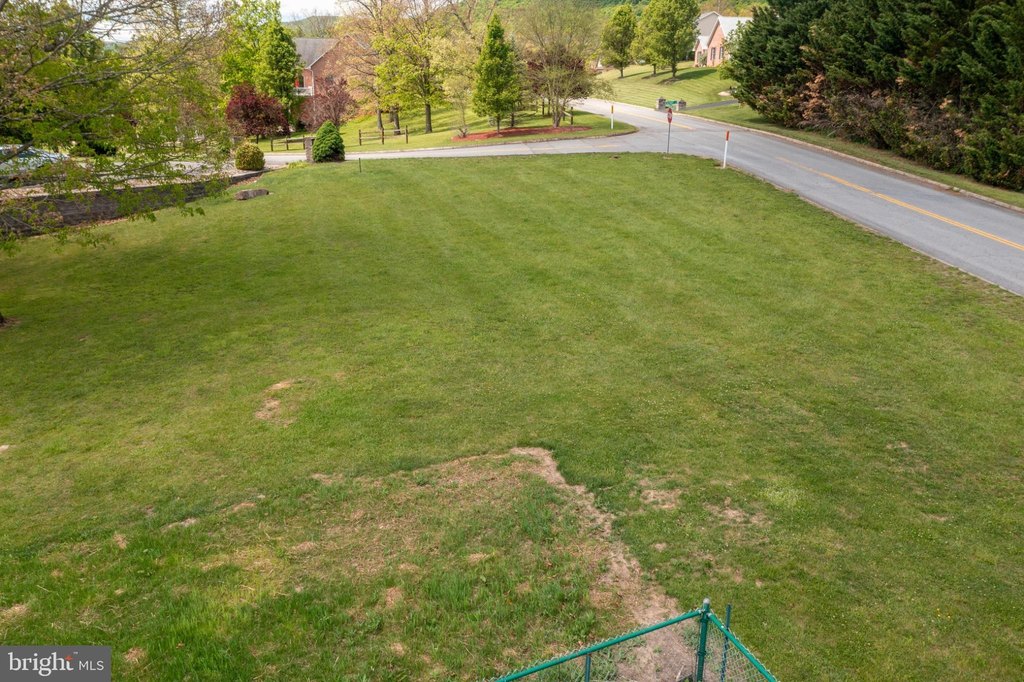 Picture 4