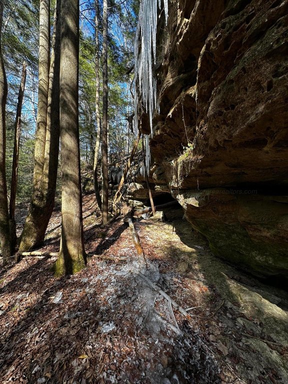 Picture 13
