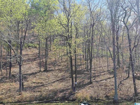 LAND - ROCKFORD, AL