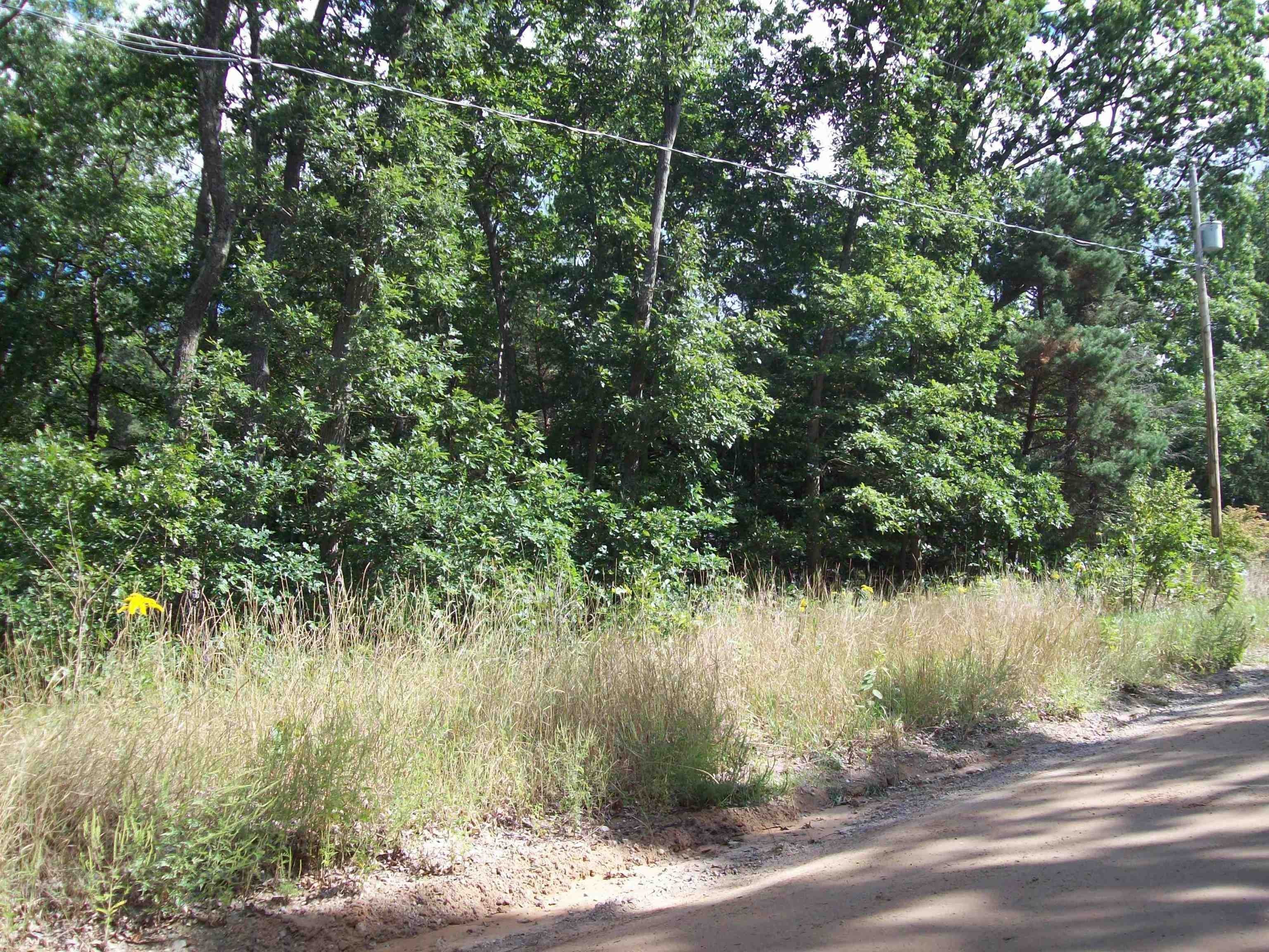 Wooded Lot Near Lily Lake