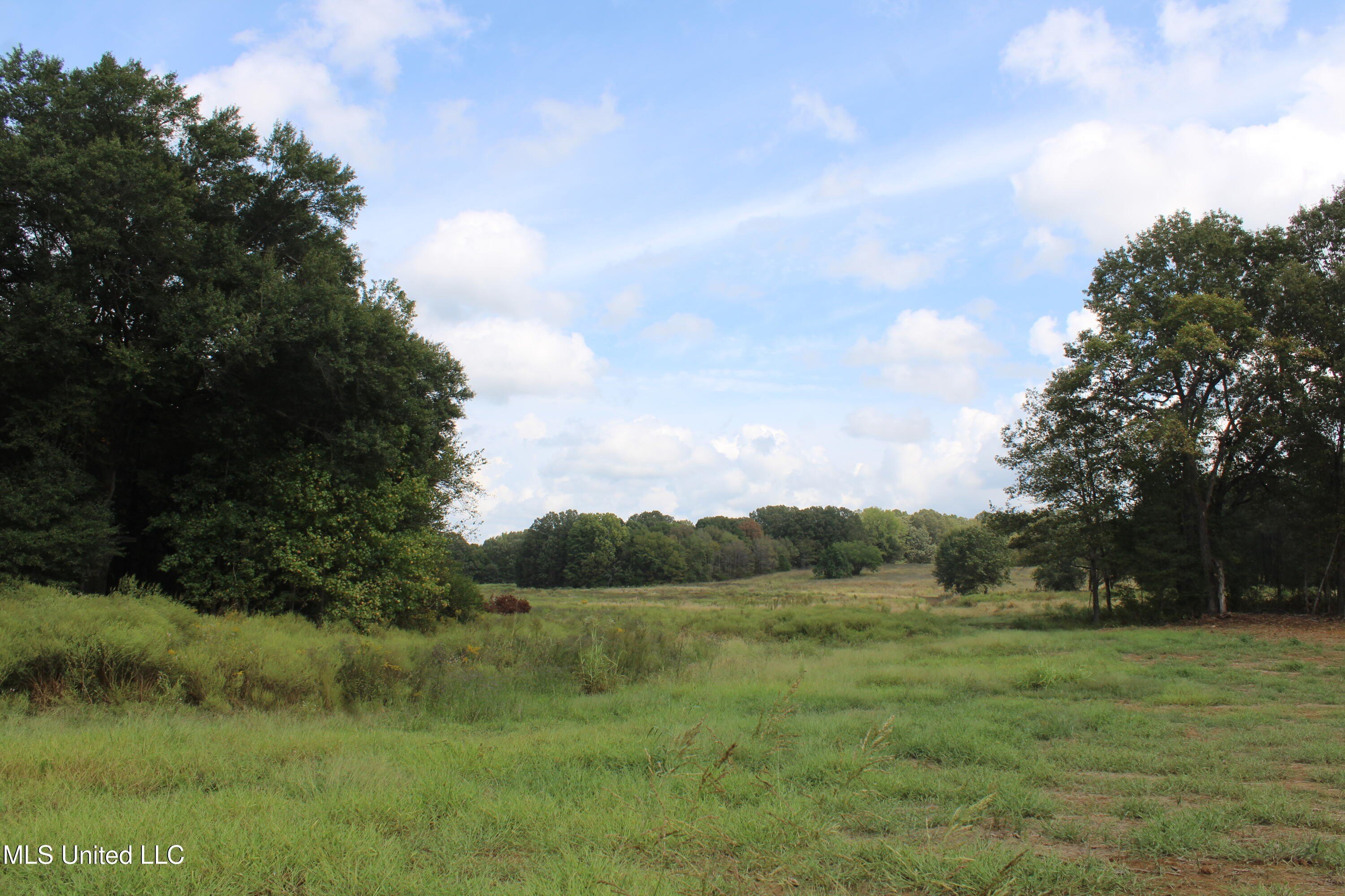 Residential Lot in Hawks Crossing