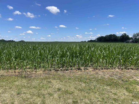 Residential Land in Centennial Park