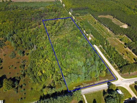 Vacant Lot/Land, Fife Lake, MI