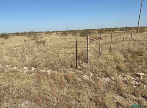 Land, Lovington, NM