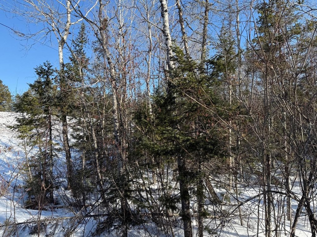 Picture 29