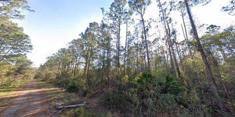 LAND - LAKE PLACID, FL