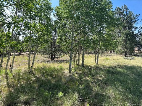 Land, Hartsel, CO