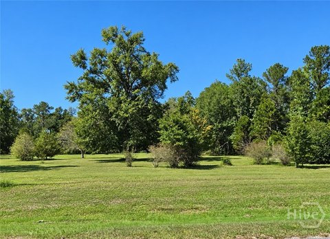 Land, Reidsville, GA