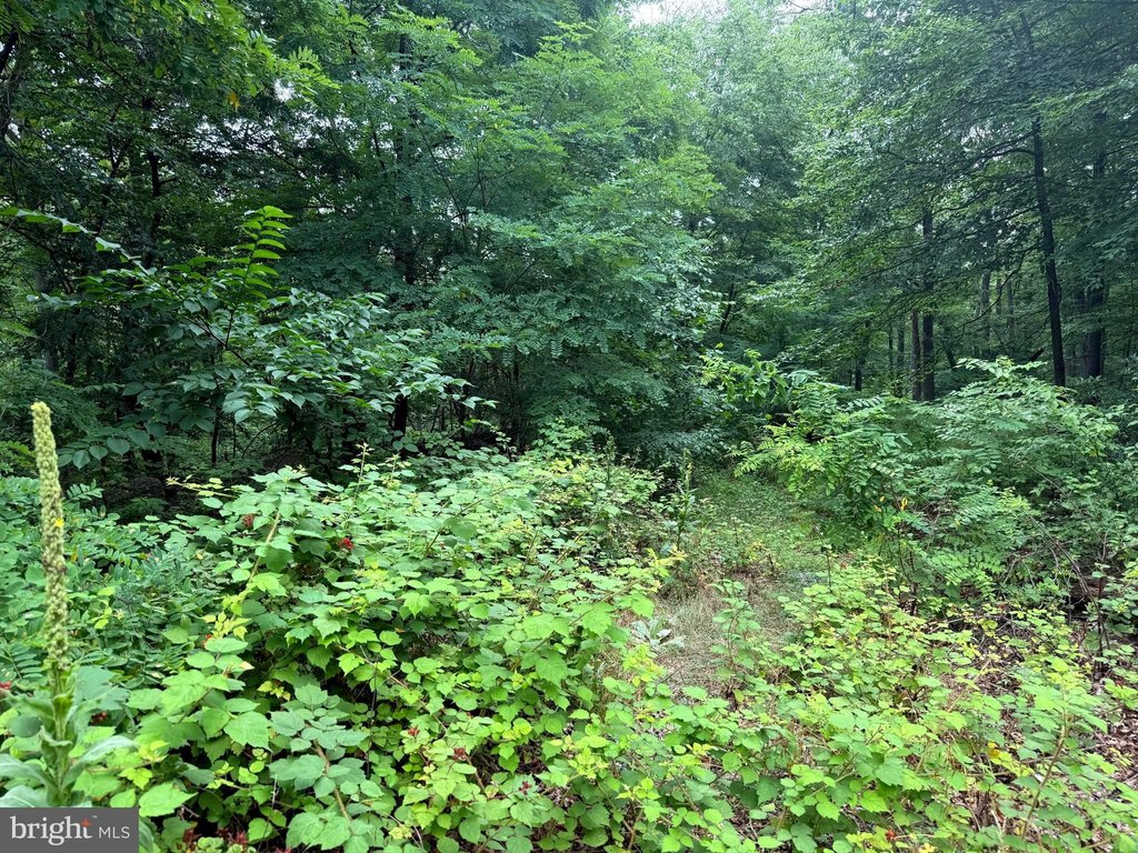 Picture 10