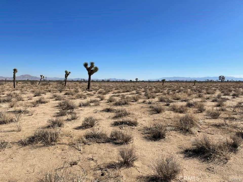 Picture 25