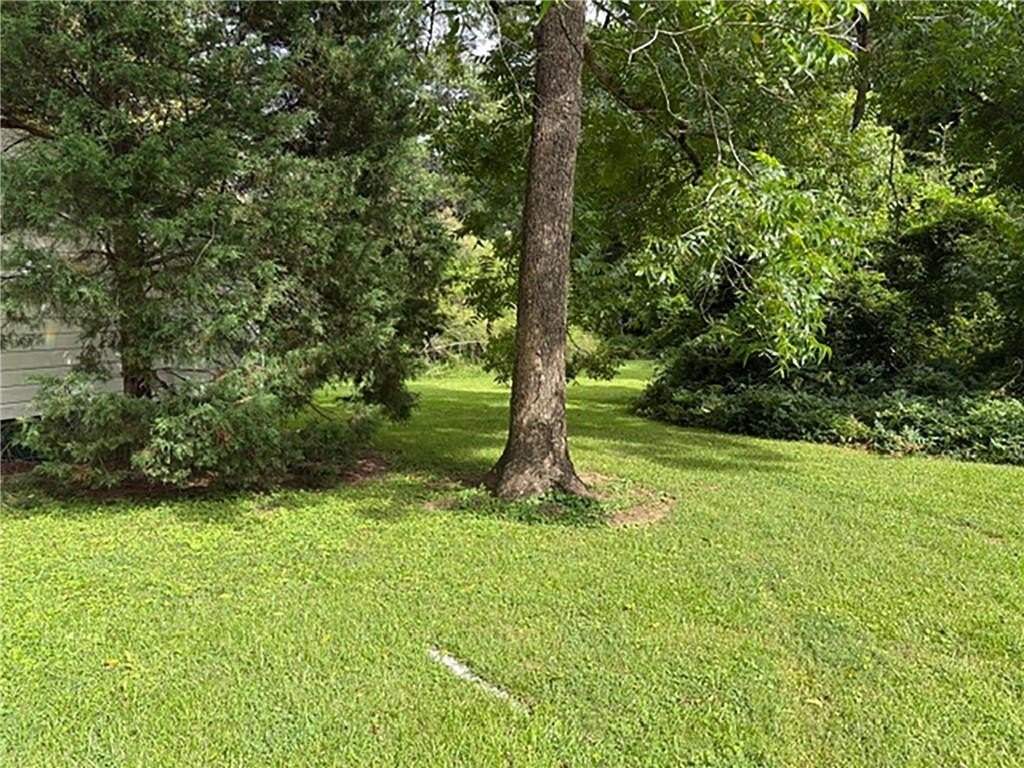 Picture 17