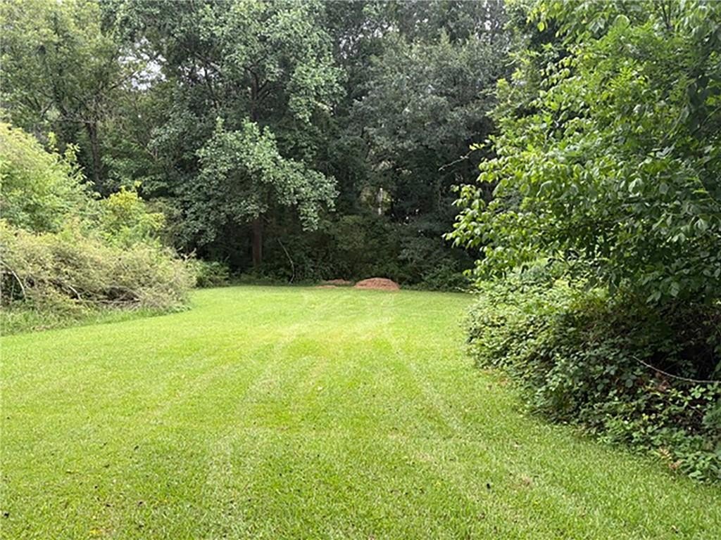 Picture 13
