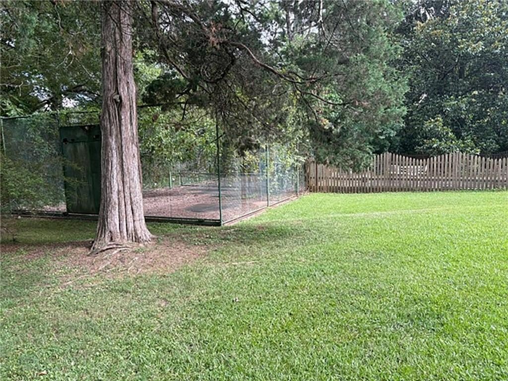 Picture 16
