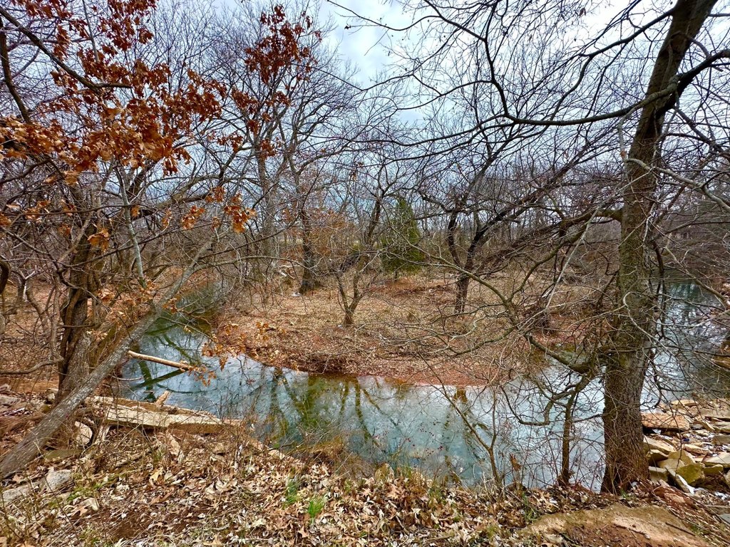Picture 6
