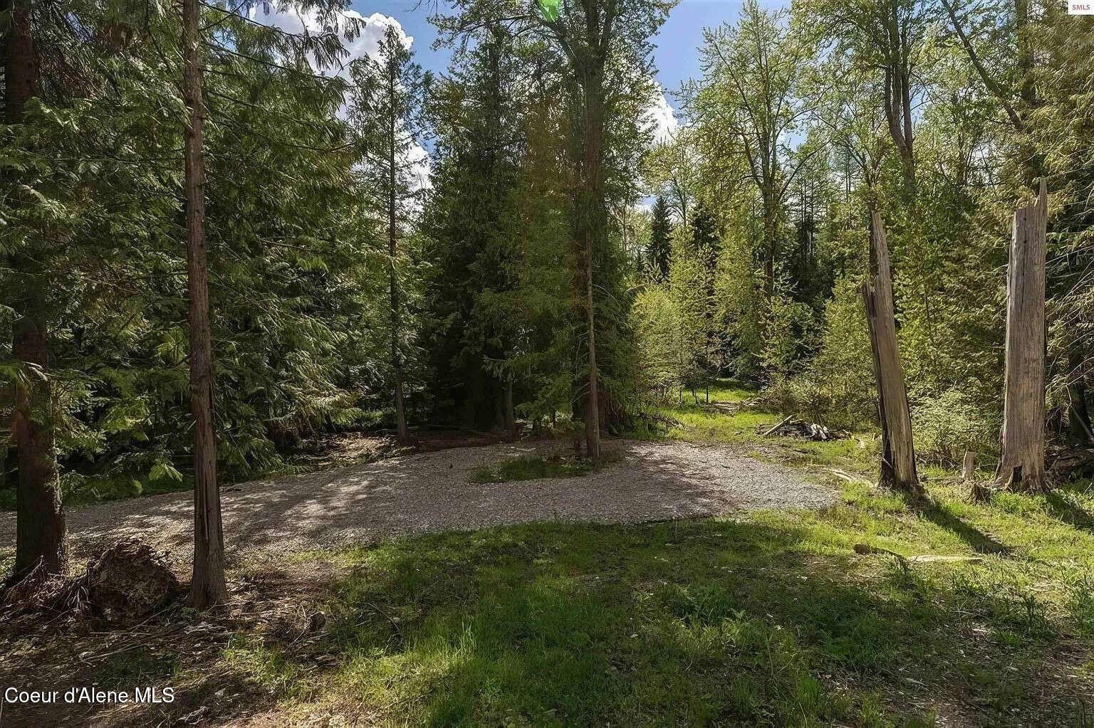 Secluded Creek-Side Property with Forest Access