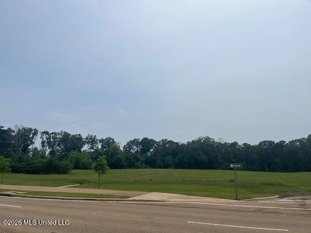 Prime Land in Ridgeland, MS
