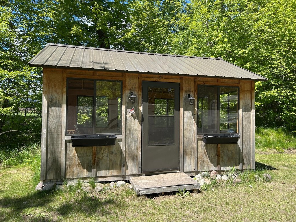 Picture 5