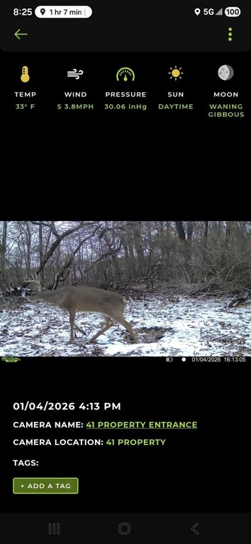 Picture 25