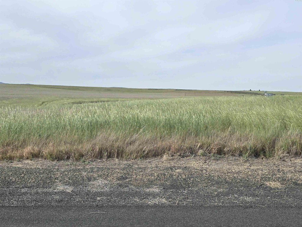 Picture 33
