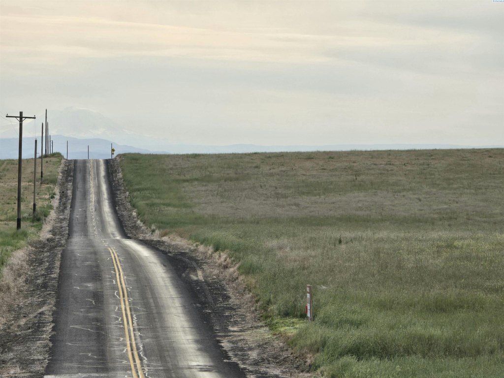 Picture 41