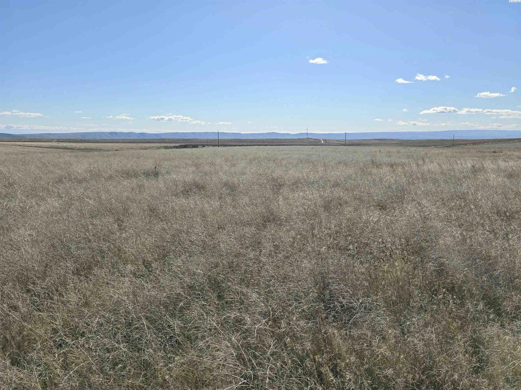 Picture 26