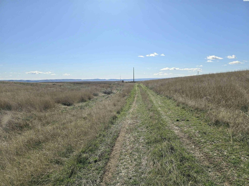 Picture 27