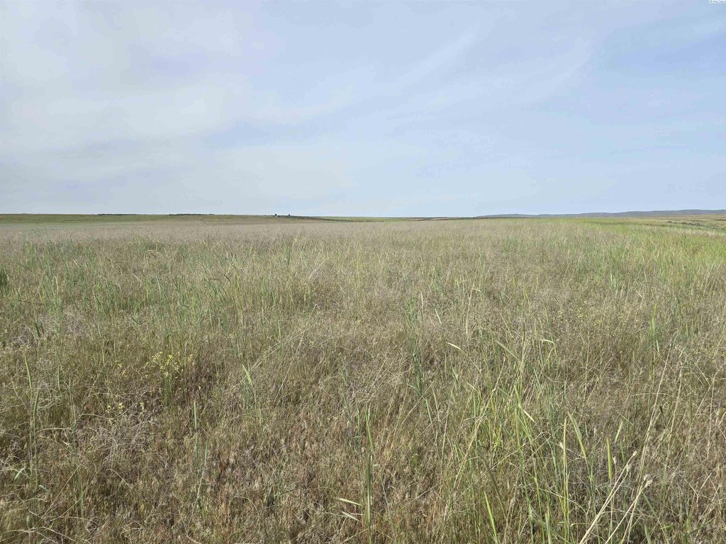 Picture 30