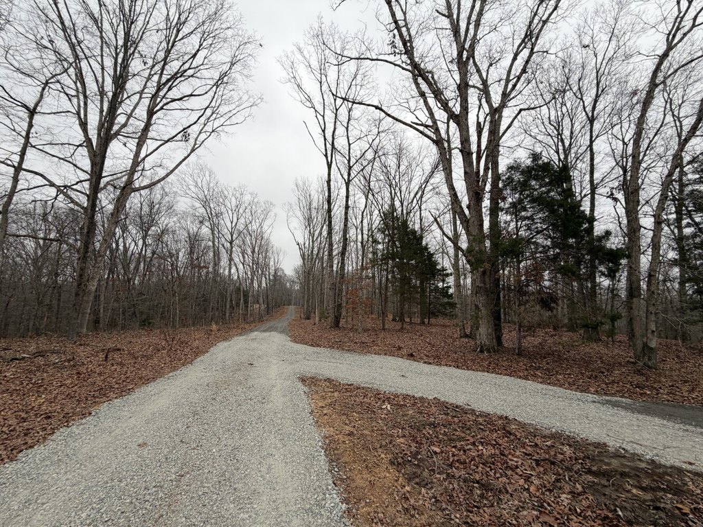 Picture 16