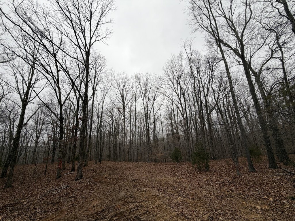 Picture 13