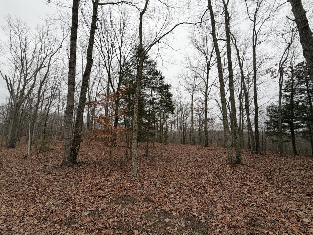 Picture 11