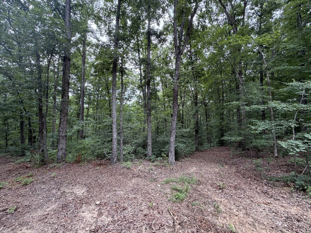 Picture 24